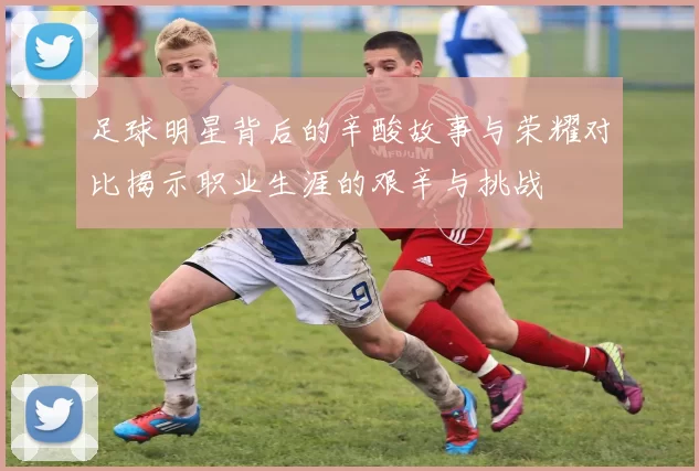 足球明星背后的辛酸故事与荣耀对比揭示职业生涯的艰辛与挑战