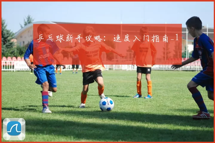 乒乓球新手攻略：速度入门指南_1