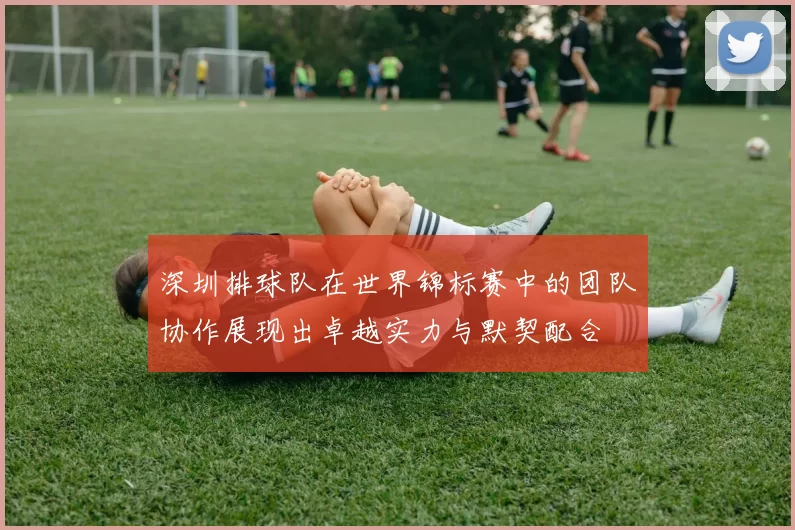 深圳排球队在世界锦标赛中的团队协作展现出卓越实力与默契配合